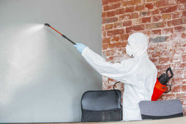 Best Mold Remediation for Healthcare Facilities  in USA